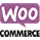 woo-small-icon-1.png